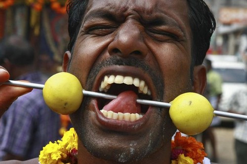 4. Lễ hội xỏ khuyên của người Ấn Độ Những người theo đạo Hindu tại Ấn Độ thể hiện lòng thành kính và sự tôn sùng của họ đối với Chúa bằng cách xỏ khuyên vào tất cả các bộ phận trên cơ thể kể cả lưỡi. Theo thời gian, các nghi lễ càng trở nên ấn tượng, đầy màu sắc và đẫm máu hơn với những cây giáo lớn và móc qua ngực và mặt.