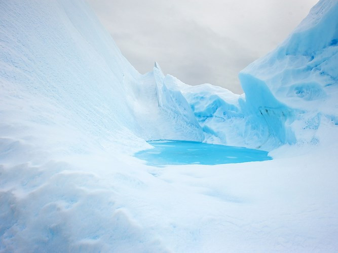Antarctica là sa mạc lớn nhất thế giới không có mưa, tuyết rơi nhiều tạo thành các tảng băng, giữ kỷ lục về sa mạc lạnh nhất trên thế giới.