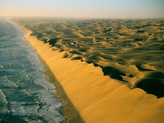 Sa mạc Namib, Namibia, nổi tiếng với những đụn cát màu vàng, ở đây bạn phải đi 40 dặm một ngày để tìm thức ăn.