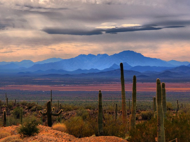 Sonoran, Tây Nam nước Mỹ, nằm giữa biên giới Mỹ - Mexico, Sonoran là sa mạc nóng nhất ở Bắc Mỹ, với nhiệt độ thường xuyên đạt tới 118 độ vào mùa hè.