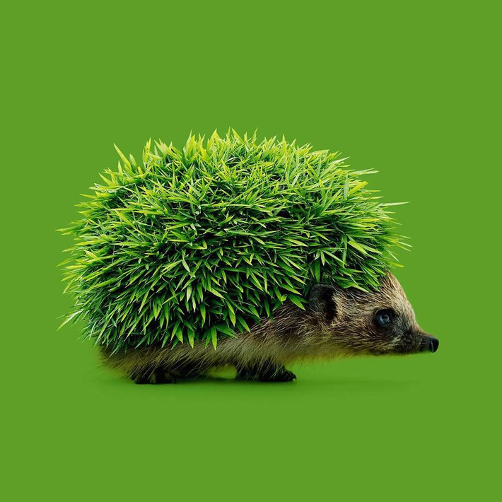Để sáng tạo, Randy sử dụng Photoshop. Theo nhà thiết kế, thông qua Photoshop, anh có thể chia sẻ sự sáng tạo không giới hạn của mình với tất cả mọi người trên thế người.