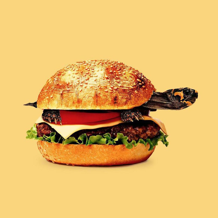 Kết hợp hình ảnh chú rùa nhỏ và chiếc bánh hamburger, nghệ sĩ Randy khiến người xem vô cùng thích thú.