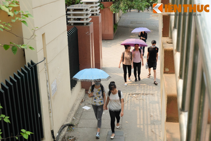 Các ngõ nhỏ có bóng cây xanh trở thành điểm đi lại lý tưởng trong ngày hè.