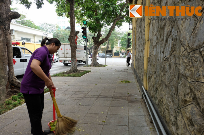Theo một nhân viên dọn vệ sinh môi trường trên phố Hỏa Lò, con phố này mùa cây sấu thay lá rất đẹp, nhất là sáng sớm.