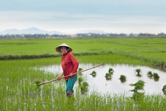 Một trong những bức hình Melotti yêu thích là hình ảnh phụ nữ Việt đang làm ruộng. Đó là thời điểm mặt trời mọc sáng sớm rất tuyệt. Ghi hình xong, cô đã được hướng dẫn làm ruộng thế nào. “Đó thật sự là khoảnh khắc tuyệt diệu”, cô cho biết.