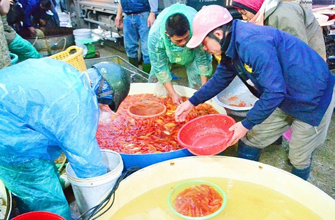Không chỉ đồ lễ, nhiều người đã tranh thủ đi lấy cá vàng về bán dần.