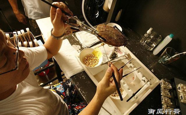 Hiện nay, Indonesia là quốc gia duy nhất nuôi cấy độc lập giống ngọc trai vàng. Đất nước này cung cấp 4% sản lượng ngọc mỗi năm cho khu vực Nam Dương.