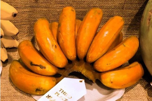 Nếu bạn đang tìm kiếm một trái cây độc đáo thì có thể chọn loại chuối hương vị cam kỳ lạ này. Ảnh: Theverybesttop10.