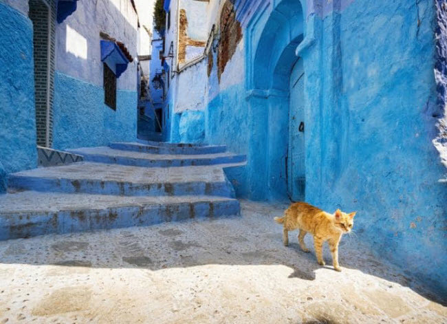 Chefchaouen, Ma-rốc: Các công trình kiến trúc của thị trấn này mang những nét tương đồng với vùng Địa Trung Hải. Điểm nổi bật nhất ở đây là các công trình được sơn duy nhất một màu xanh da trời.