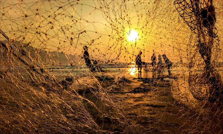 Ngư dân tại bãi biển Thọ Quang (Đà Nẵng) đang thu lưới sau một ngày làm việc vất vả. Đà Nẵng được thiên nhiên ưu ái ban tặng những bãi biển liên hoàn đẹp như tranh vẽ và đường bờ biển dài ôm lấy dãy núi Sơn Trà tạo nên một vùng trời nước bao la, quyến rũ lòng người. Ảnh: Phạm Doãn Triều.