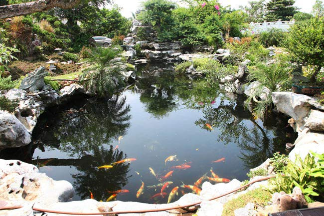 Mọi góc vườn đều được kiến tạo tinh tế, chăm sóc tỉ mỉ. Ảnh: Kientrucanhung.