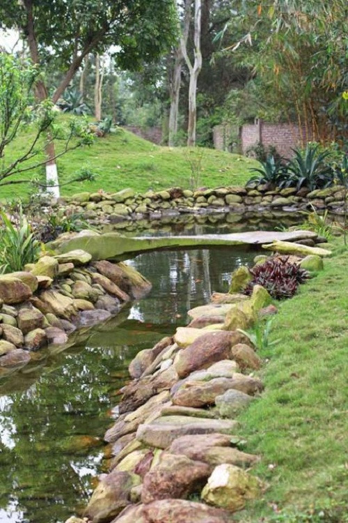 Hồ cá mộng mơ trong một góc vườn. Ảnh: Người đưa tin.