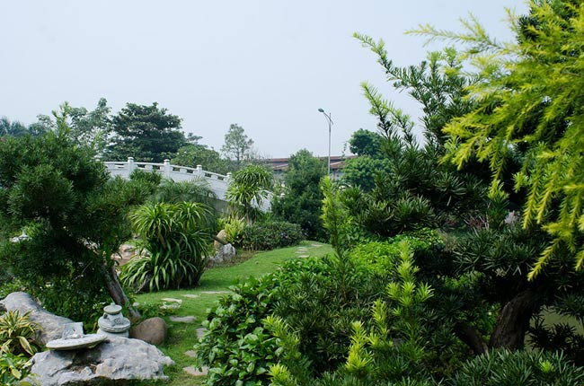 Cảnh sắc thiên nhiên tuyệt vời toát lên từ hàng cây xanh tươi tốt trong vườn. Ảnh: Kientrucanhung.