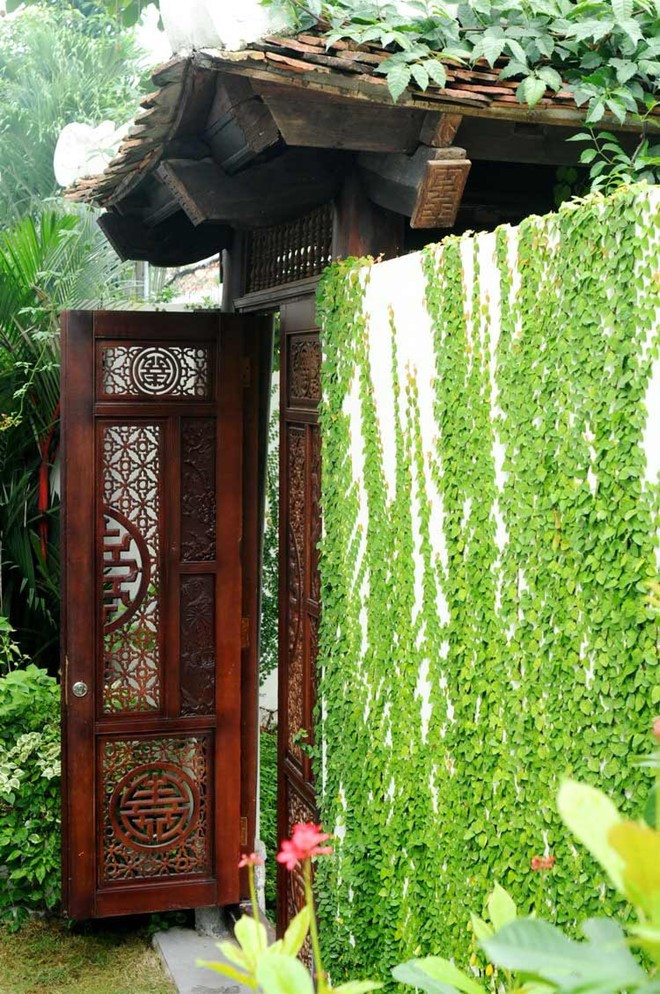 Không gian xanh mát như một khu rừng thu nhỏ. Ảnh: VTC.