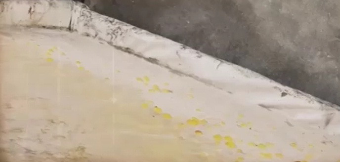 Để phù phép những quả thối hỏng trở thành mứt, bà chủ khẳng định có sử dụng hóa chất để giúp mận trở nên trắng bóng và khử chua cho táo. Ảnh: ANTV.
