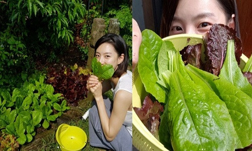 Mặc dù bận rộn với việc chăm con nhỏ nhưng bà xã xinh đẹp của nam tài tử Bae Yong Joon - Park Soo Jin vẫn dành thời gian cho thú vui bình dị hàng ngày. Ảnh: Newspim.