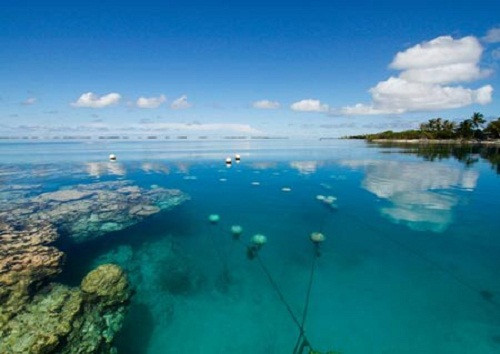 Khu nuôi cấy ngọc trai thường nằm sâu dưới đáy biển. Ảnh: NatGeo.