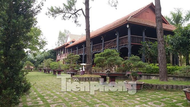 Ngôi nhà sàn 2 tầng rộng hàng trăm m2 được thiết kế bằng gỗ tọa lạc giữa khu vườn là điểm nhấn của khu "biệt phủ" này.