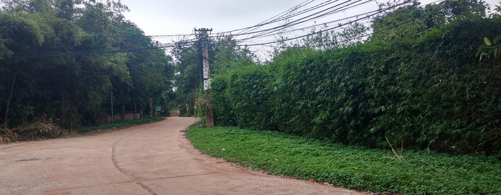 Khu đất của gia đình ca sỹ Mỹ Linh khá rộng có vị trí 2 mặt tiền, nằm ngay gần ngã tư đường bê tông lớn.