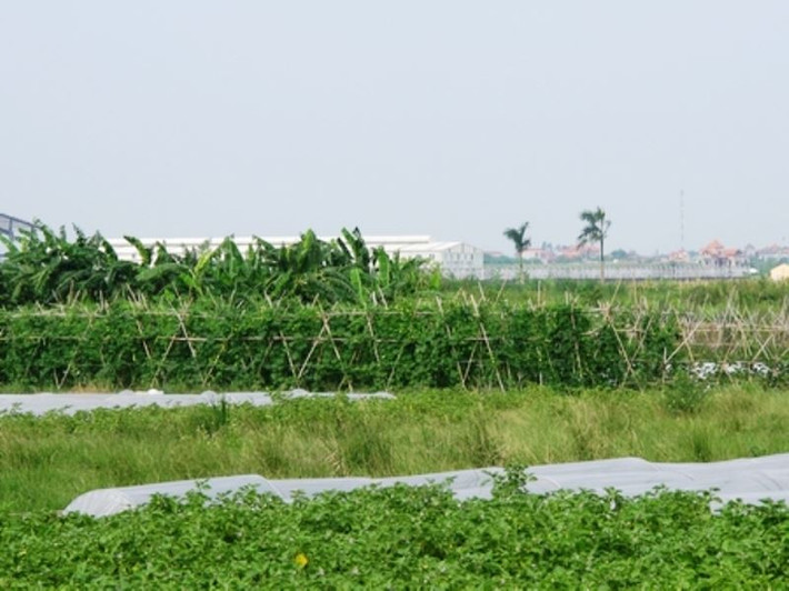Song đến nay, điều mà người ta nhìn thấy từ dự án này chỉ là bãi đất hoang và tấm biển đã bạc màu theo thời gian. Ảnh: Giáo dục.