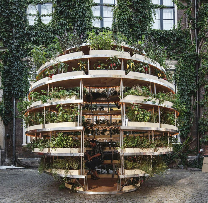 Khu vườn xanh mướt này được gọi là mô hình Growroom, được thiết kế lấy ý tưởng từ việc phủ xanh địa cầu tạo không gian thoáng mát cho mọi người.