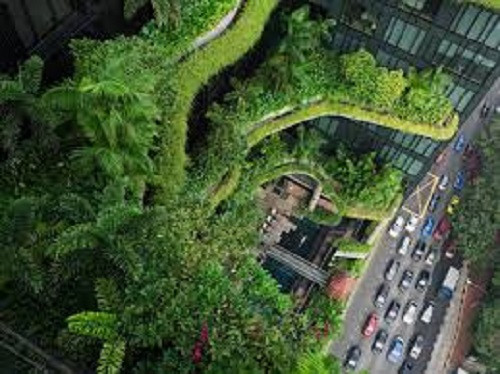Hành lang dài 300m trồng nhiều loại cây từ cây dây leo, cây lá cọ, nối tiếp từ mặt đất lên tới sân thượng.