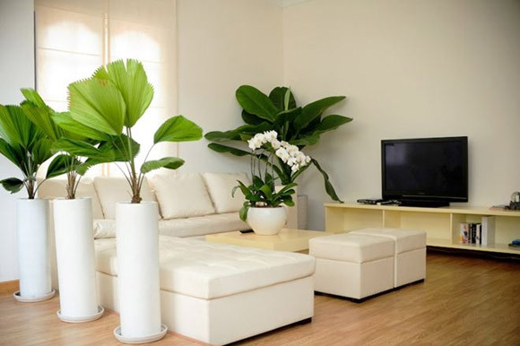 Tại quận 1 (TP HCM), nam ca sĩ Nathan Lee sở hữu căn hộ rộng 185m2, mang phong cách Pháp tinh tế, nhã nhặn có góc nhìn tuyệt vời ra Nhà thờ Đức Bà. Ảnh: Giadinhxahoi.