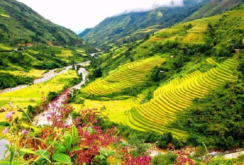 Hành trình quen thuộc Hà Nội - Sa Pa cũng được một số công ty lữ hành giảm giá còn khoảng 2 triệu đồng với hành trình 3 ngày 2 đêm. Ảnh: DulichSapa.