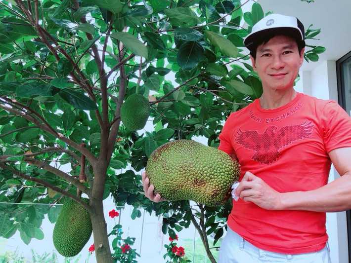 Ngoài rau còn có nhiều trái cây như mít, ổi, cóc... Ảnh: FB Ly Hai Minh Ha.