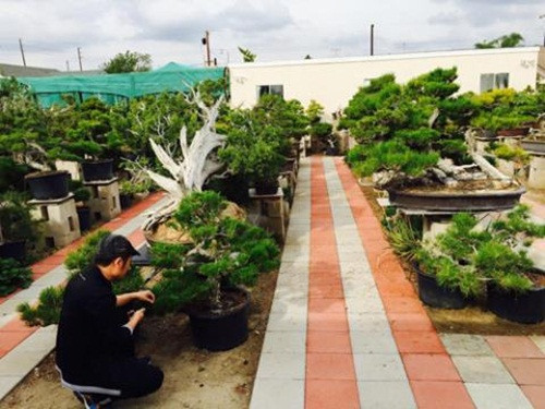 Trên khu đất rộng 2.000 m2, nam ca sĩ gốc Hà Nội sử dụng 400 m2 để xây nhà, diện tích còn lại là trồng cây, nuôi cá. Ảnh: Baodatviet.