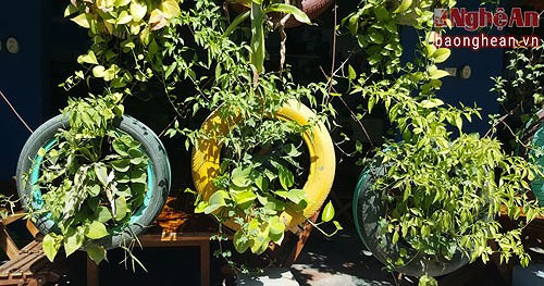 Anh Sơn cho biết, sau khi đi tìm mua mỗi chiếc lốp với giá 20.000 đồng ở các xưởng sửa chữa ô tô, anh mang về sơn đủ màu, tiếp đến là dùng thép để tạo khung, giằng lốp lại với nhau thành mảng. Công đoạn cuối cùng là đổ đất và kiếm cây về trồng.