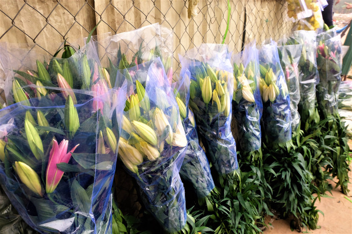 Những bó hoa đổ đống trên đường Lạc Long Quân (Hà Nội) khiến chủ vựa hoa ngậm ngùi, xót xa.