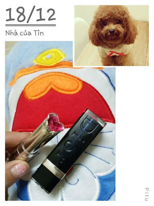 Em cún yêu chắc chắn sẽ bị phạt nặng vì tội dám cắn thỏi son của cô chủ. Ảnh sử dụng trong bài: Sưu tầm Facebook.