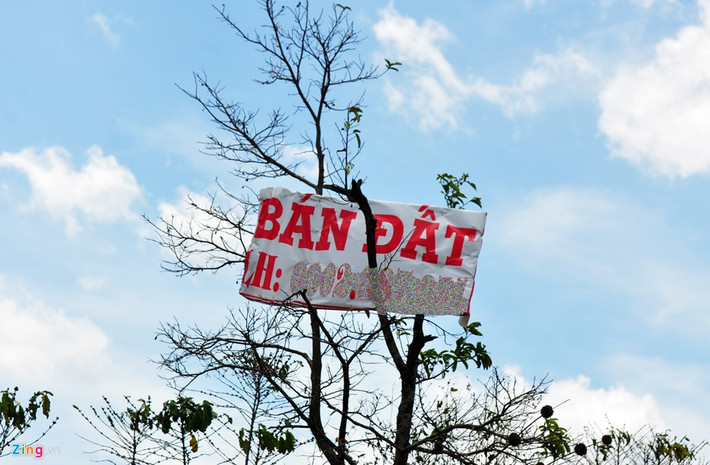 Một hộ dân viết chữ đỏ, treo biển bán đất trên ngọn cây cao bên đường vành đai phía Tây. Ông Thành (chủ đất ngụ phường Tân Lợi) cho hay người mua đất nông nghiệp nơi đây bây giờ còn giá rẻ. Họ chờ thời cơ giá đất tiếp tục tăng cao để bán lại, cho thuê hoặc xây kho dùng cho mục đích kinh doanh thương mại.