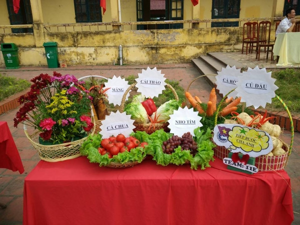 Không phải màu sắc vốn có như như hầu hết các con vật sinh sống ngoài đời, chúng không theo một quy luật nào chỉ theo sự sáng tạo của các bạn học sinh.