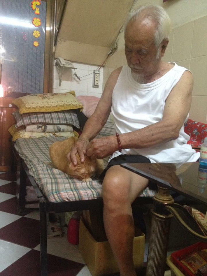 Cụ thể nickname Hoang Pham có viết: "Nhìn ông chăm mèo mà mình lại nhớ tới ông nội ở quê. Ông có "người bạn" tuổi già tên Vàng, ngày ngày ông đưa Vàng đi tập thể dục, đến khi Vàng 13 tuổi thì bỗng dưng mất tích khiến ông buồn mất thời gian dài".