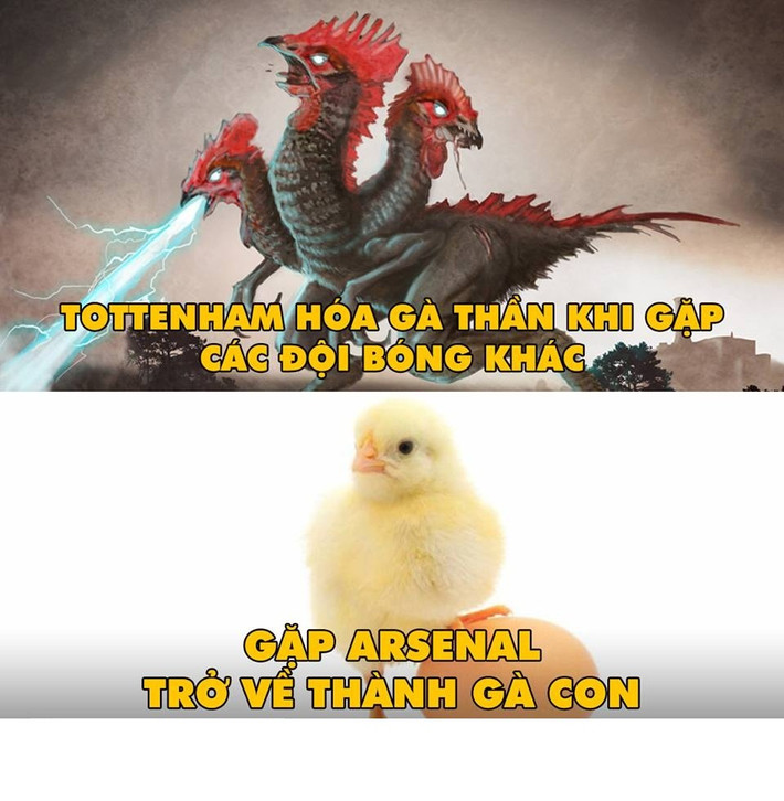 Bức ảnh chế bóng đá Tottenham chỉ là gà con trước Arsenal đã được các CĐV của sân Emirates treo trên trang cá nhân để chọc tức đối thủ ở cùng thành phố London.