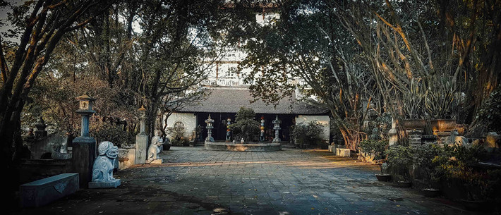 Việt phủ Thành Chương là địa điểm được nhiều giới yêu nghệ thuật ghé tới thăm vào thời gian qua với lối kiến trúc Việt cổ thuần túy và được họa sĩ Thành Chương dày công xây dựng và phát triển.
