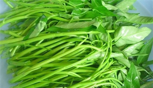 Người bị bệnh sau tuyệt đối không được ăn rau muống ảnh 1 Người bị bệnh sau tuyệt đối không được ăn rau muống ảnh 1