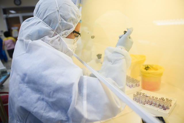 Giải trình tự gene của bệnh nhân COVID-19 ở Hải Dương, Quảng Ninh Giai trinh tu gene cua benh nhan COVID-19 o Hai Duong, Quang Ninh