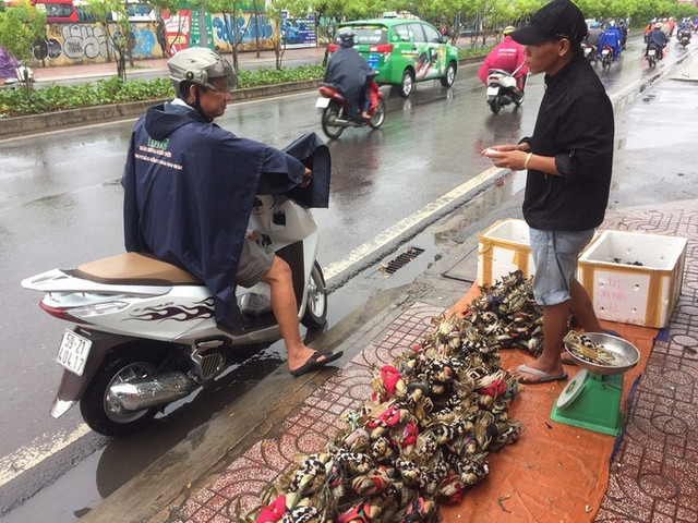 Thực hư cua Cà Mau 50.000 đồng/3 con bán đầy đường, "bao ăn" - Hình 3 Thuc hu cua Ca Mau 50.000 dong/3 con ban day duong,