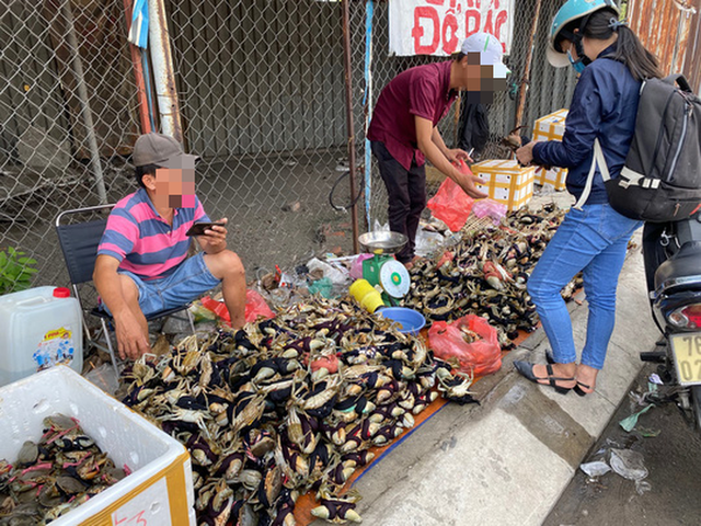 Thực hư cua Cà Mau 50.000 đồng/3 con bán đầy đường, "bao ăn" - Hình 2 Thuc hu cua Ca Mau 50.000 dong/3 con ban day duong,