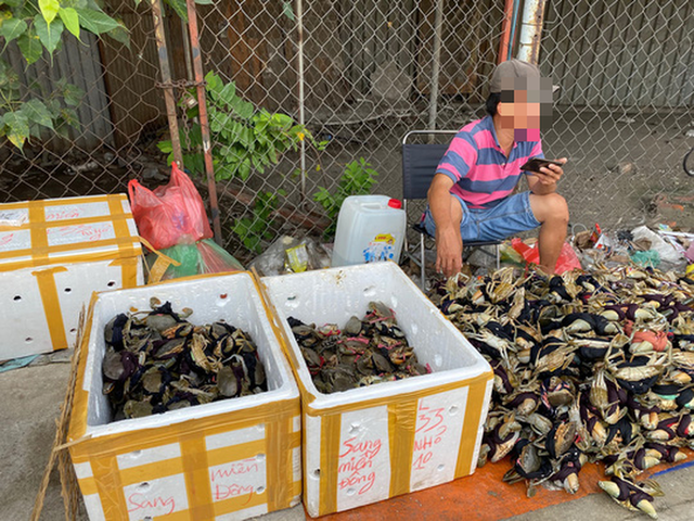 Thực hư cua Cà Mau 50.000 đồng/3 con bán đầy đường, "bao ăn" Thuc hu cua Ca Mau 50.000 dong/3 con ban day duong,