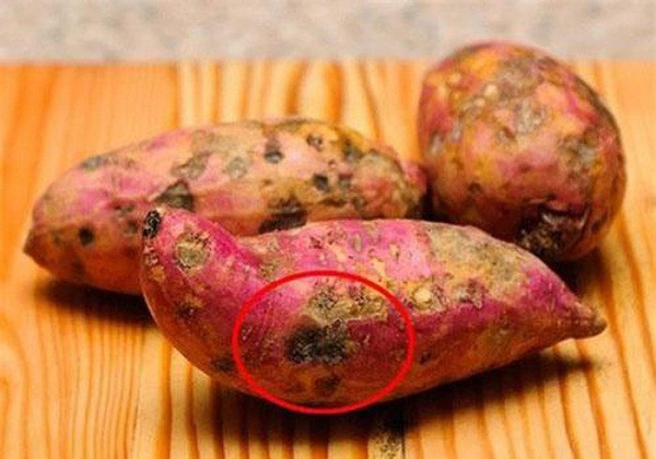 5 thực phẩm này nấu cháo chẳng khác nào "nuôi tế bào ung thư" - Hình 2 5 thuc pham nay nau chao chang khac nao