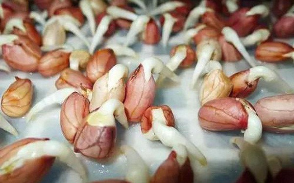5 thực phẩm này nấu cháo chẳng khác nào "nuôi tế bào ung thư" - Hình 4 5 thuc pham nay nau chao chang khac nao