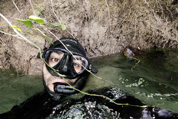 "Run rẩy" xem thợ lặn đối đầu trăn anaconda khổng lồ dài 6m - Hình 3