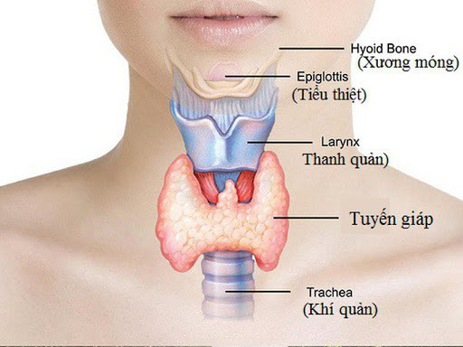 Hoài Linh ung thư tuyến giáp nguy hiểm thế nào? - Hình 2 Hoai Linh ung thu tuyen giap nguy hiem the nao?-Hinh-2