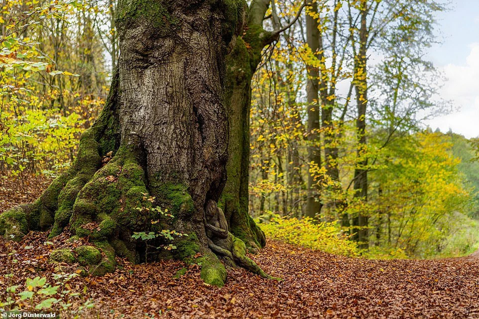 Bộ ảnh người mẫu khỏa thân tuyệt đẹp khiến người nhìn “mỏi mắt” tìm