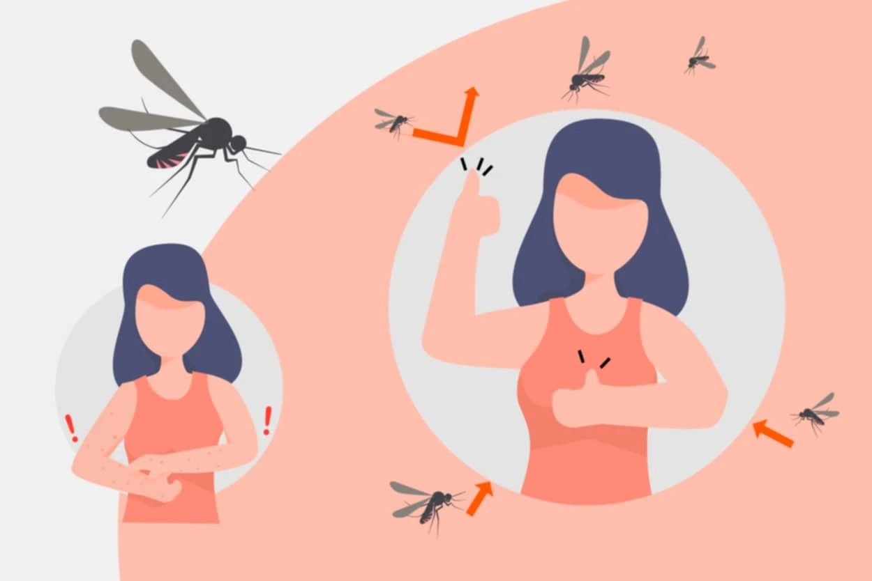 [Infographic] Những lưu ý quan trọng phòng, chữa bệnh sốt xuất huyết