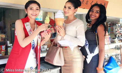 Lý do Đặng Thu Thảo thất bại tại Hoa hậu QT 2014